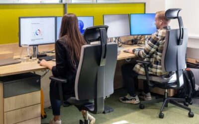 SW Developer PDK Engineer